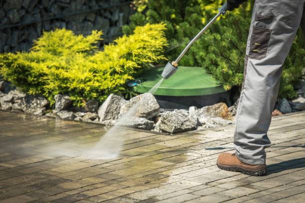 Best Pre-Holiday Cleaning  in Belleview, FL