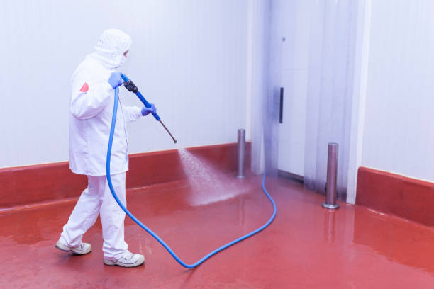 Best Restaurant Pressure Washing  in Belleview, FL