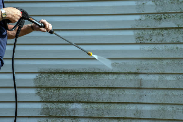 Animal Enclosure Cleaning in Belleview, FL
